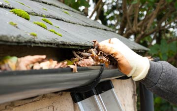 gutter cleaning Down