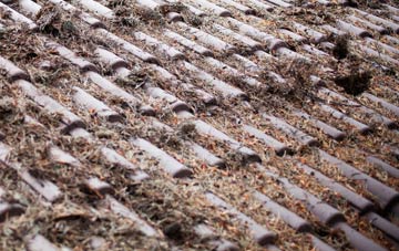 Down roof cleaning companies